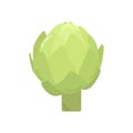 Healthy green artichoke graphic illustration