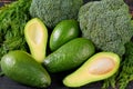 Healthy Green Food Background With Ingredients For Veggie Salad, Diet Dish. Fresh Organic Vegetables: Avocado, Dill And Broccoli