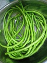 Healthy Green Longbean Vegetables Royalty Free Stock Photo
