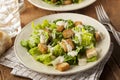 Healthy Green Organic Caesar Salad Royalty Free Stock Photo