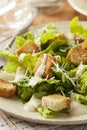 Healthy Green Organic Caesar Salad Royalty Free Stock Photo