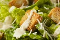 Healthy Green Organic Caesar Salad Royalty Free Stock Photo