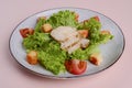 Healthy green organic caesar salad with cheese and croutons and grilled chicken served in white plate. Royalty Free Stock Photo