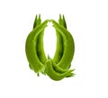 Healthy green pepper letter Q, vegetables alphabet, paprika font, isolated on white Royalty Free Stock Photo