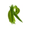 Healthy green pepper letter R, vegetables alphabet, paprika font, isolated on white Royalty Free Stock Photo