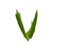 Healthy green pepper letter V, vegetables alphabet, paprika font, isolated on white Royalty Free Stock Photo