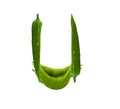 Healthy green pepper letter U, vegetables alphabet, paprika font, isolated on white Royalty Free Stock Photo