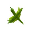 Healthy green pepper letter X, vegetables alphabet, paprika font, isolated on white Royalty Free Stock Photo