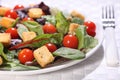 Healthy green salad with croutons and tomatoes Royalty Free Stock Photo