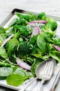 Healthy green salad with seeds and broccoli