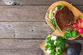 Healthy green sandwich with avocado, cucumber, spinach and radish, top view side border against a wood background