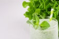 Healthy green spinach smoothies with leaf mint, greens, straw on white soft wood board, copy space, closeup. Royalty Free Stock Photo