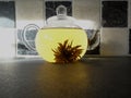 Healthy green tea jasmine glass tea pot with tea flower afternoon tea at kitchen background Royalty Free Stock Photo