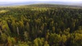Healthy green trees in forest of old firs and pines. Footage. Concept of ecosystems and healthy environment. Top view of Royalty Free Stock Photo