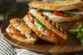 Healthy Grilled Basil Mozzarella Caprese Panini