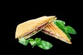 Healthy Grilled Basil mozzarella Caprese Panini Sandwich isolated. Classic Italian fast food