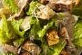 Healthy Grilled Chicken Caesar Salad Royalty Free Stock Photo