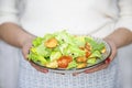 Healthy Grilled Chicken Caesar Salad with Cheese and Croutons Royalty Free Stock Photo