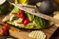 Healthy Grilled Chicken Pesto Flatbread Royalty Free Stock Photo