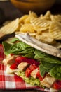 Healthy Grilled Chicken Pesto Flatbread Royalty Free Stock Photo