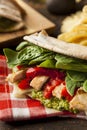 Healthy Grilled Chicken Pesto Flatbread Royalty Free Stock Photo