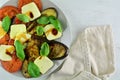 Grilled Eggplant Salad with Sliced Tomatoes and Mozzarella Royalty Free Stock Photo