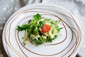 Healthy habbit of eating salad celery and apple arugula Royalty Free Stock Photo