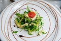 Healthy habbit of eating salad celery and apple arugula mix on a white flat plate decorated with balsamic sauce on a gray cloth