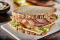 Healthy ham and cheese sandwich with radish Royalty Free Stock Photo