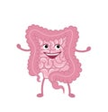 Healthy happy intestine character.Digestive system,intestine vector symbol. Viscera, inside organs vector.Vector flat cartoon illu