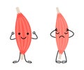 Healthy happy muscle and weak sad pain muscle character. Strong and frail tension fiber part body human. Skeletal muscle