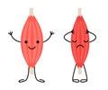 Healthy happy muscle and weak sad pain muscle character. Strong and frail tension fiber part body human. Skeletal muscle