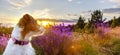 Healthy happy pet dog in the purple lavender flower herb field