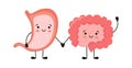 Healthy happy smiling stomach and intestine characters hold hands. Symbol of stomach and intestine health. Vector