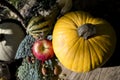 Healthy Harvest Fruit Vegetable and nuts on Tree Stump Royalty Free Stock Photo