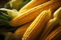 Healthy harvest Ripe maize plant closeup, green and yellow goodness