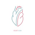 Healthy heart icon, internal human organ of cardiovascular blood circulation system. Royalty Free Stock Photo