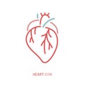 Healthy heart icon, internal human organ of cardiovascular blood circulation system. Royalty Free Stock Photo