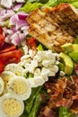 Healthy Hearty Cobb Salad Royalty Free Stock Photo