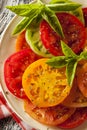 Healthy Heirloom Tomato Salad Royalty Free Stock Photo