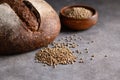 Healthy Hemp bread, hempseeds on brown background. Royalty Free Stock Photo