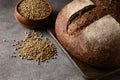 Healthy Hemp bread, hempseeds on brown background.