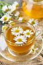 Healthy herbal camomile tea