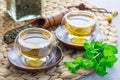 Healthy herbal mint tea in oriental cup with fresh peppermint and tea scoop on background, horizontal Royalty Free Stock Photo