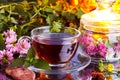 Healthy herbal tea Royalty Free Stock Photo