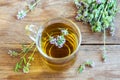 Herbal wild thyme tea