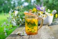 Healthy herbal tea cup, mortar of medicinal herbs and daisy healing herbs. Royalty Free Stock Photo