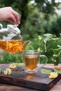 Healthy herbal tea, female hands pouring linden tea from a glass teapot into a cup in the garden Royalty Free Stock Photo