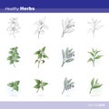 Healthy herbs