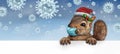 Healthy Holiday Squirrel Royalty Free Stock Photo